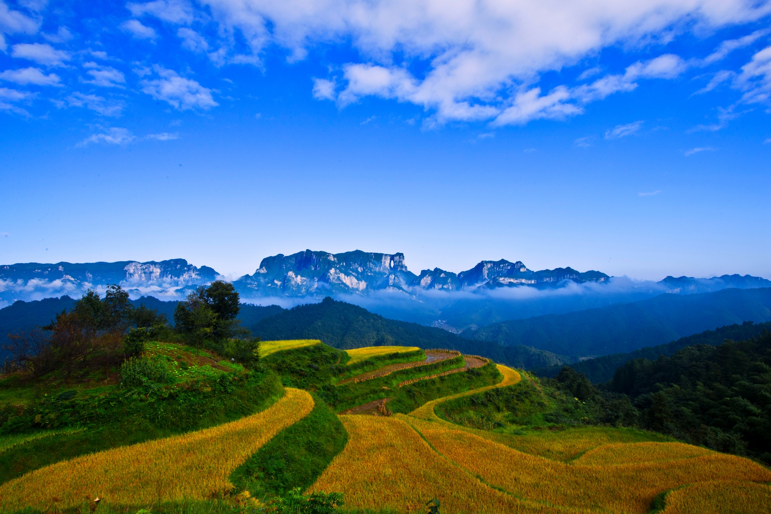 《仙山田园》