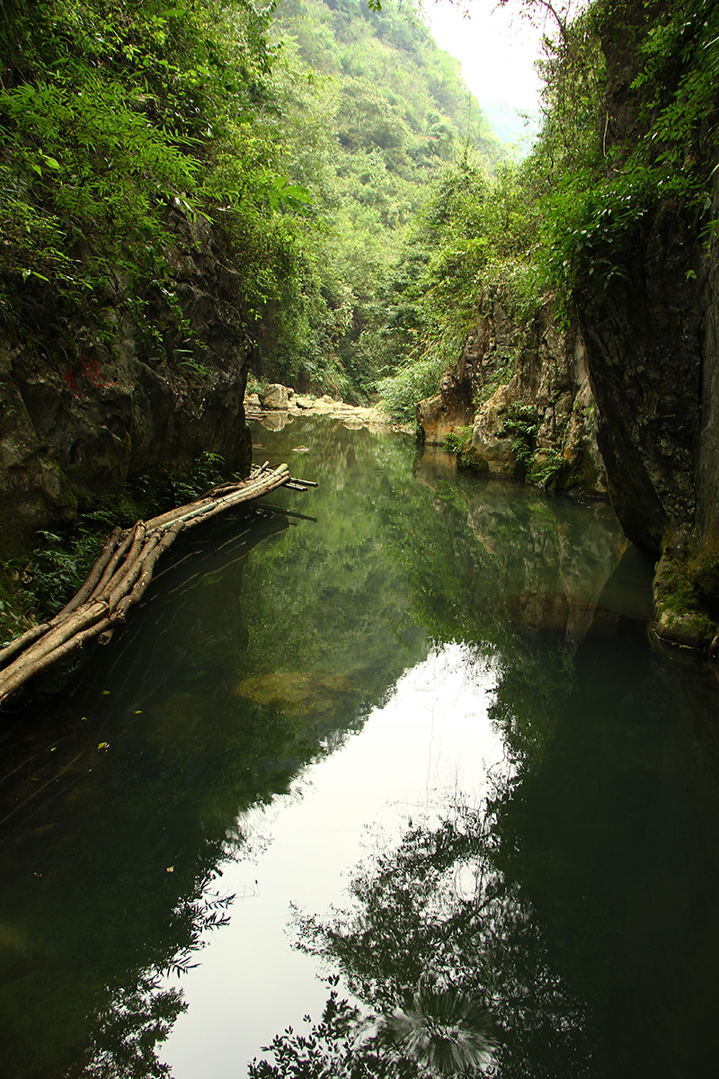 岩泊渡桃水溪