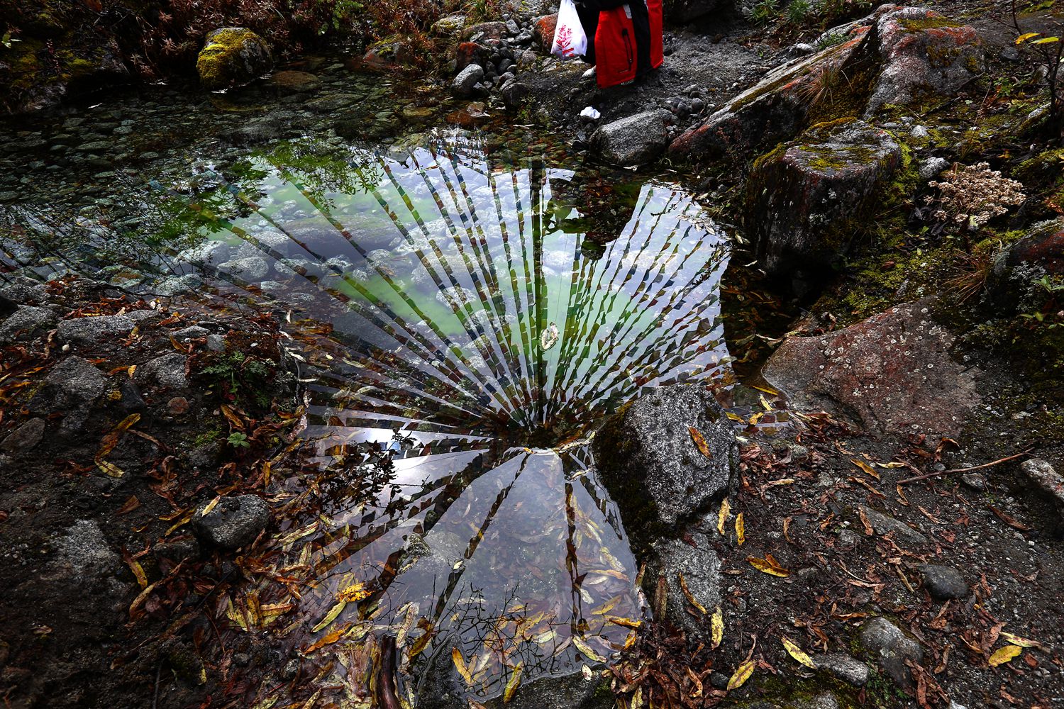 水中风幡