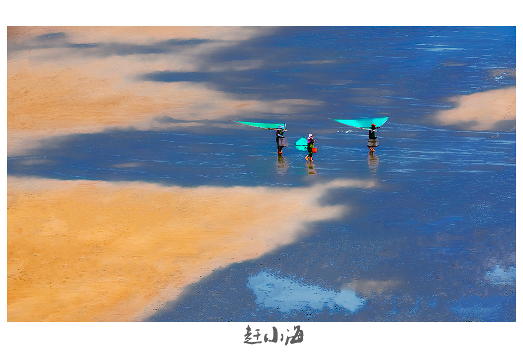 赶海