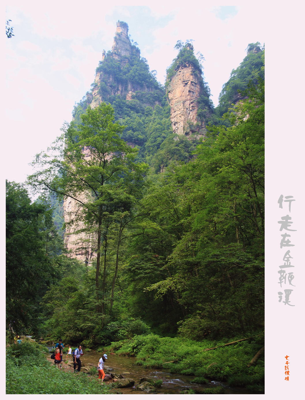 行走在金鞭溪