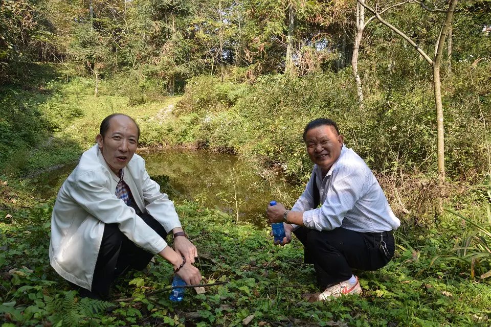 九龙山是湘鄂渝黔边区百县奇特的即将开发的旅游胜地。