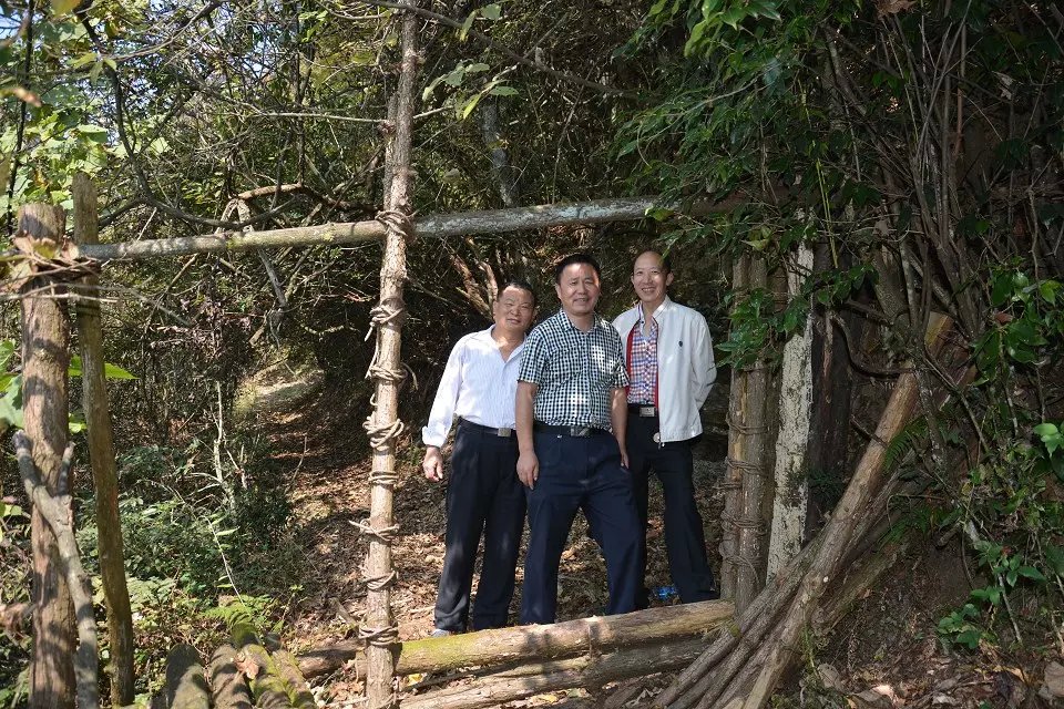 九龙山是湘鄂渝黔边区百县奇特的即将开发的旅游胜地。