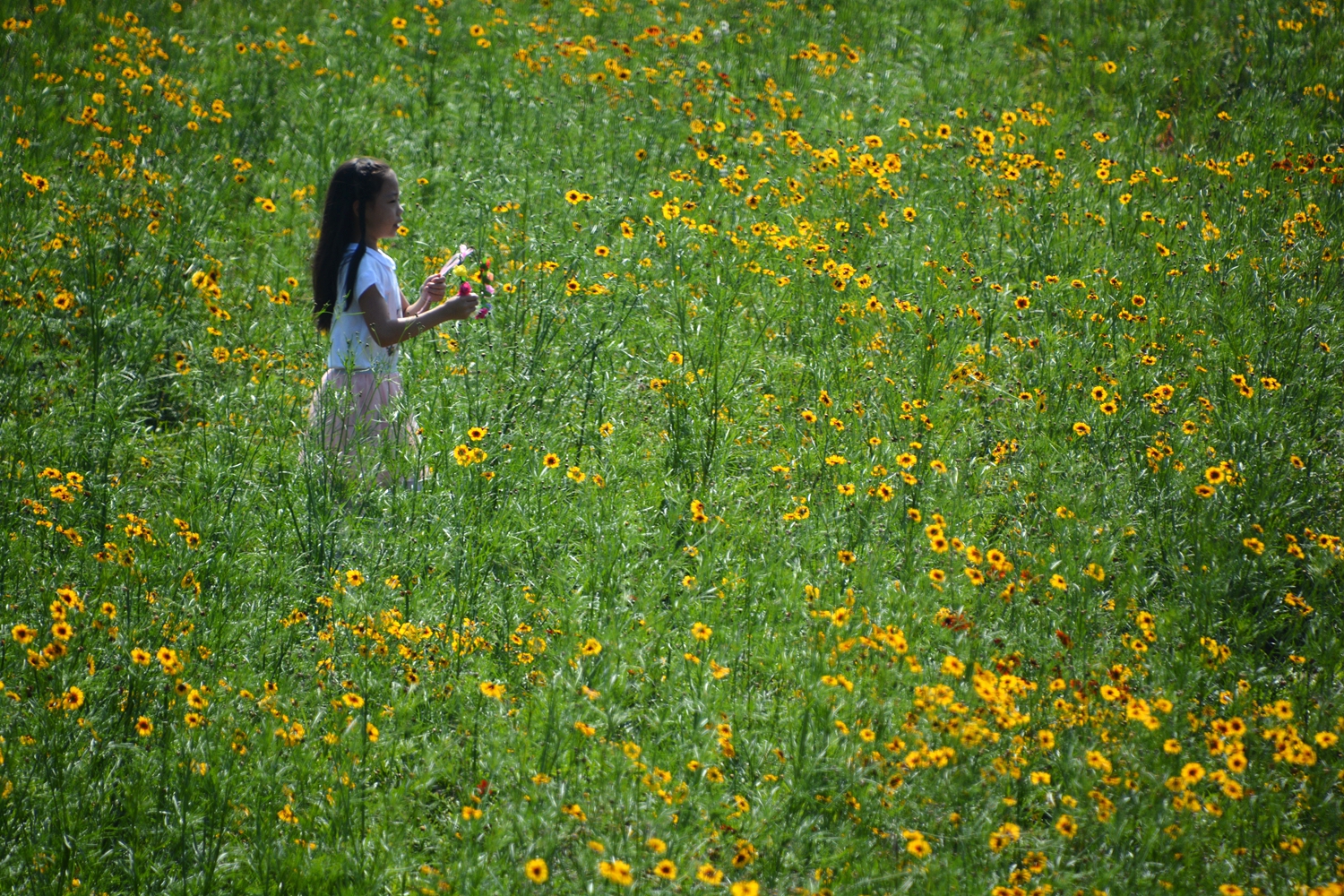 “小花”