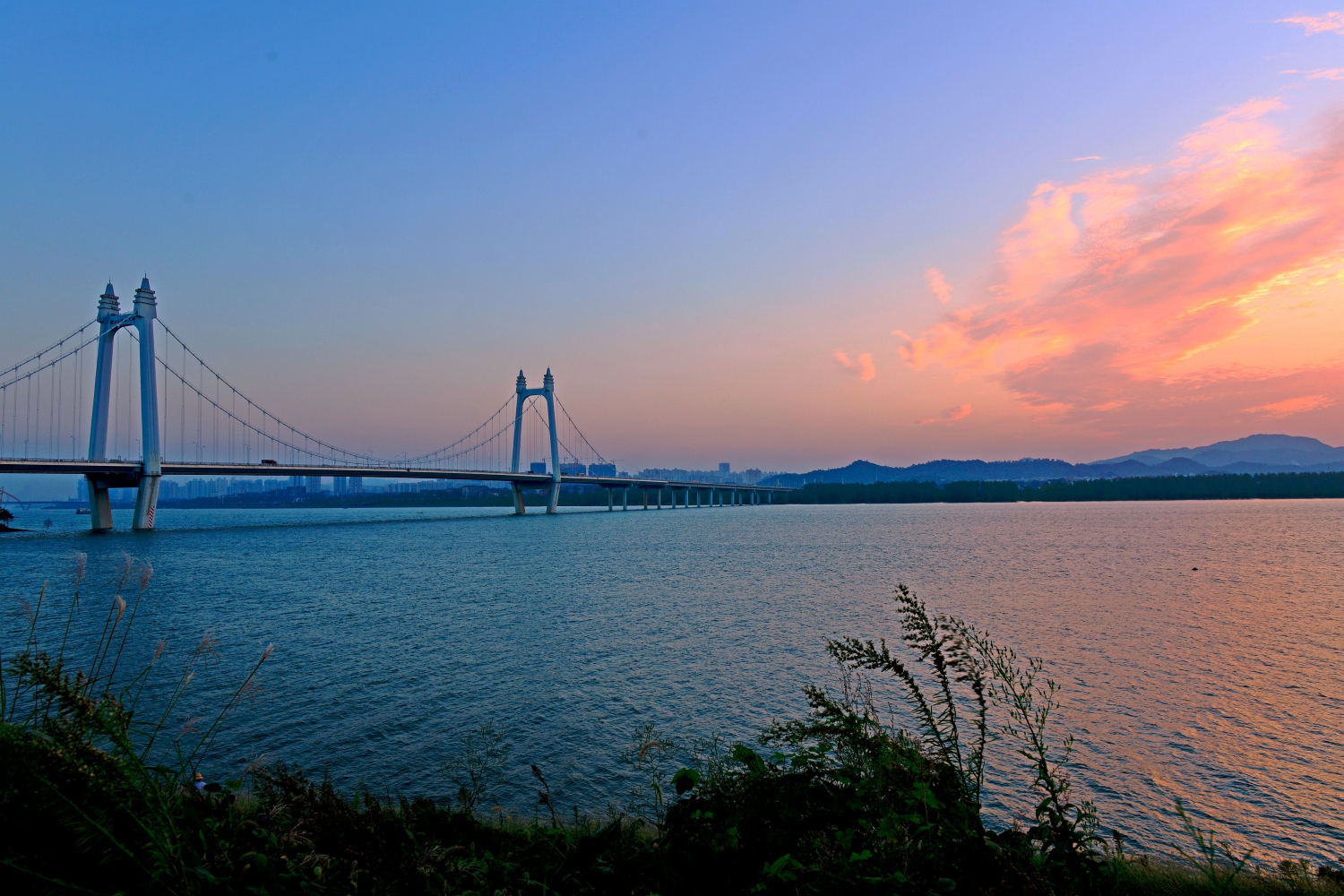 浦江晨景