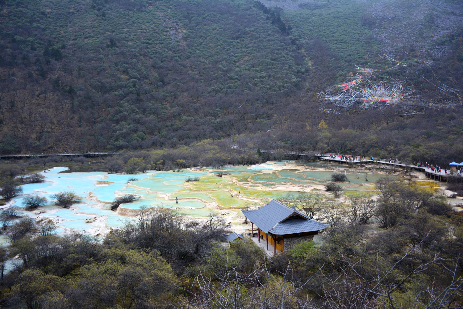 黄龙、九寨沟观光随影