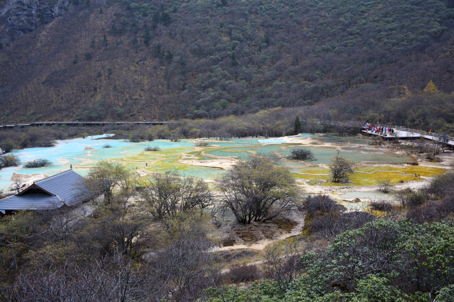 黄龙、九寨沟观光随影