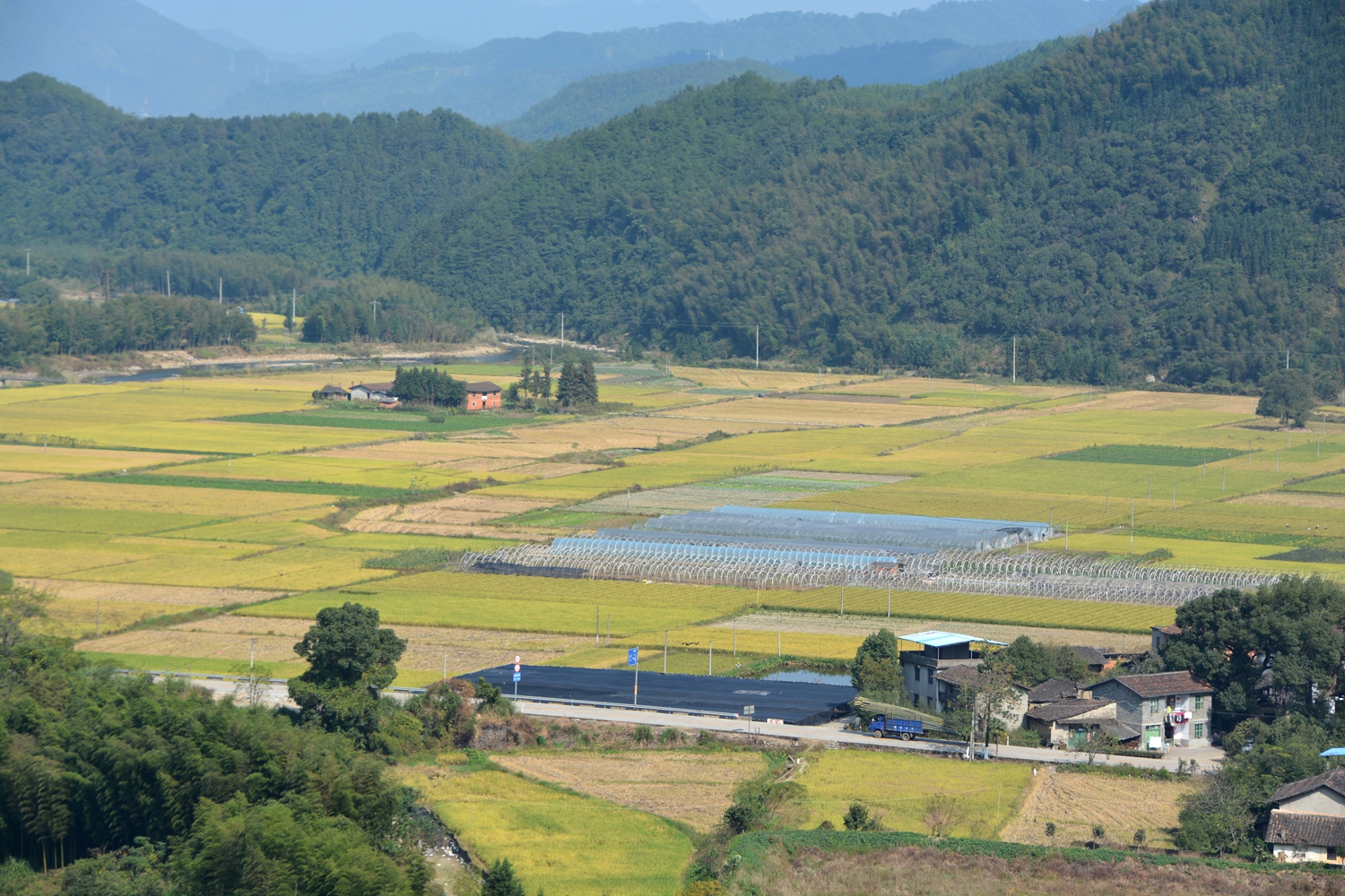 秀丽田园