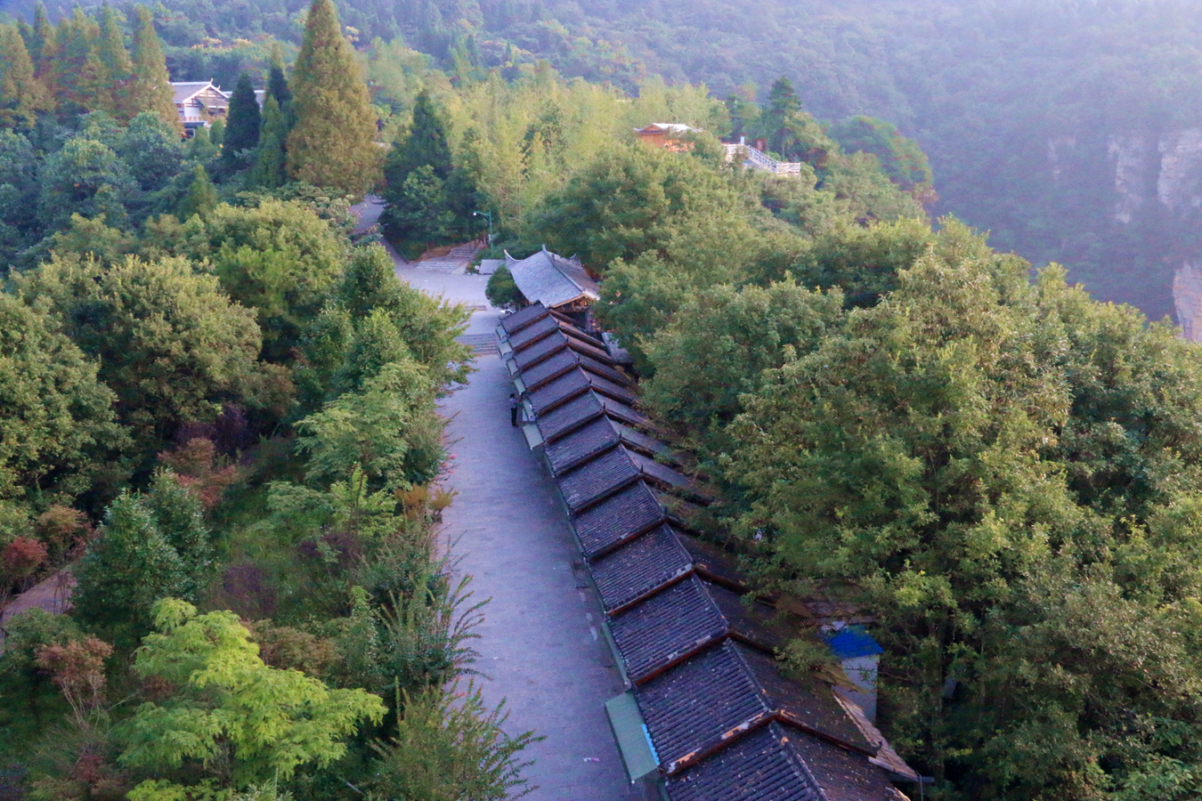 天子山的春色