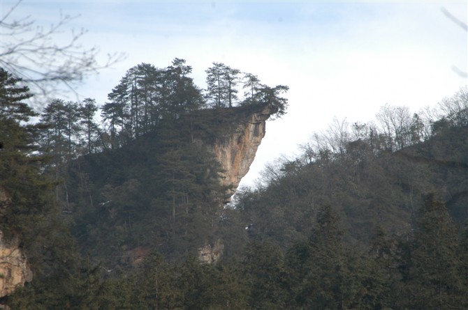 玉笔佛的思路 是商会主席的作品