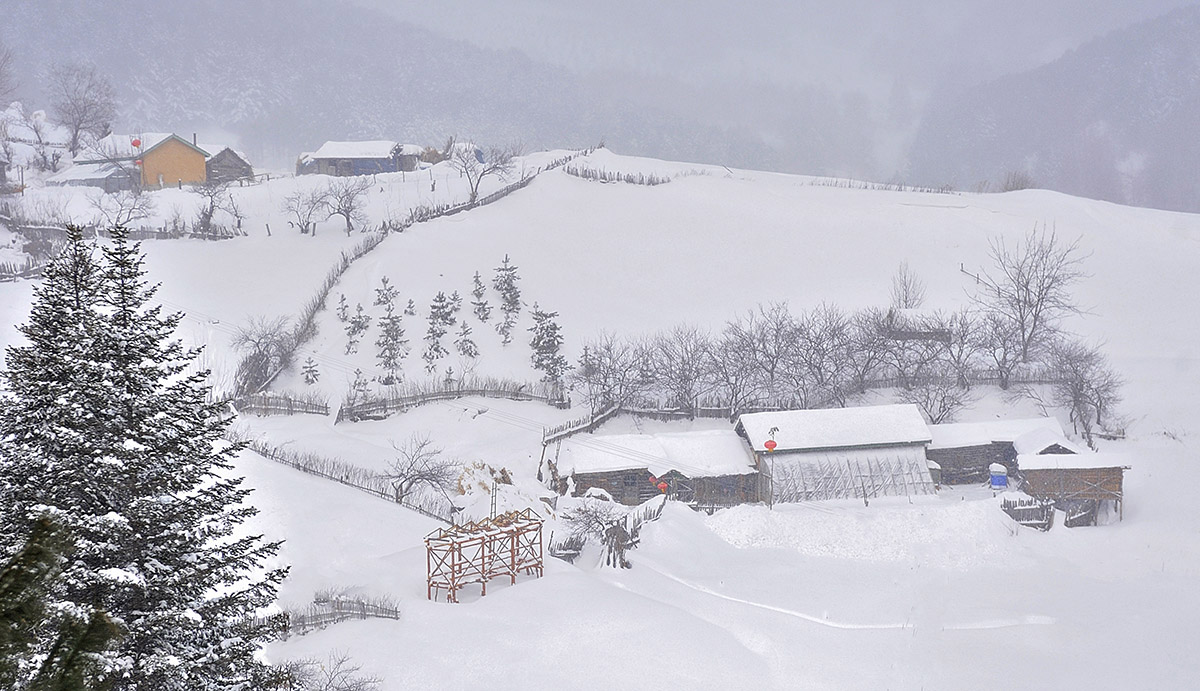 关东雪村---魅力松岭