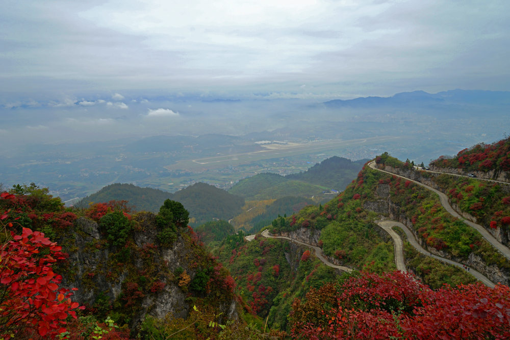 崇山红叶
