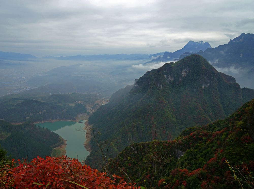 崇山红叶