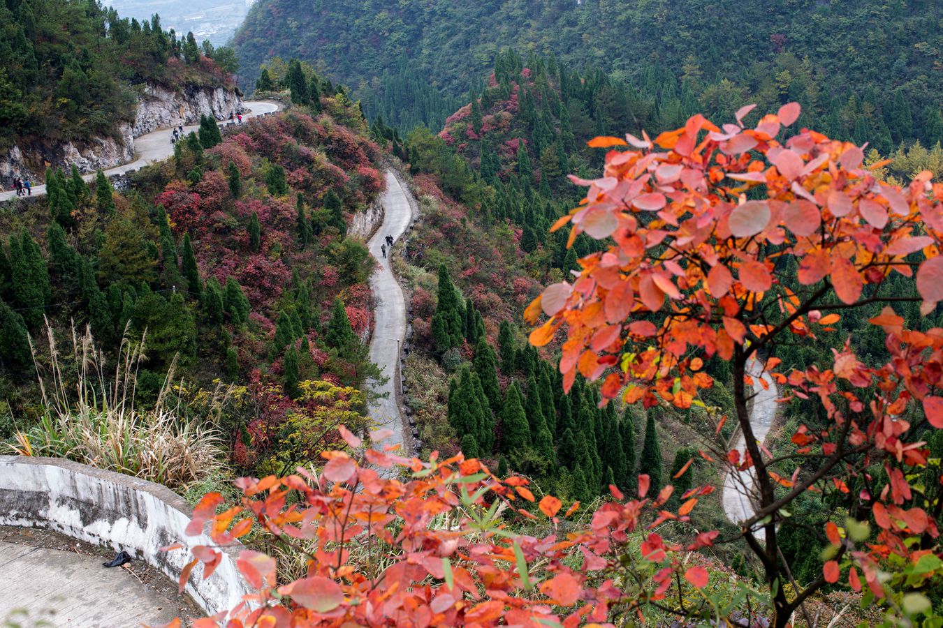 锦绣崇山3
