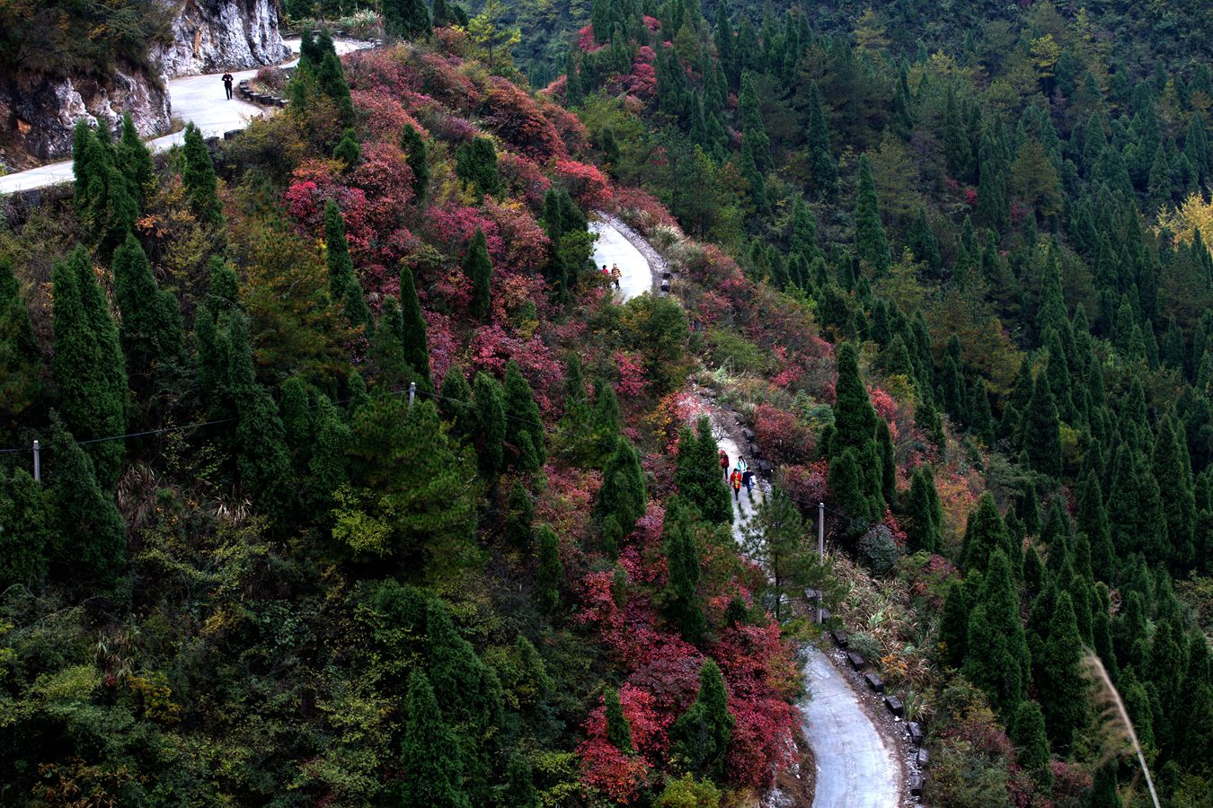 锦绣崇山4