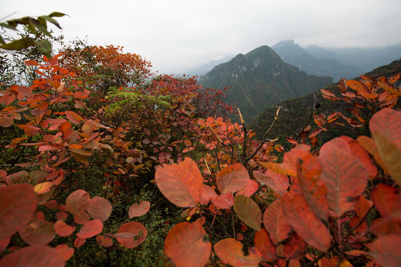 锦绣崇山1