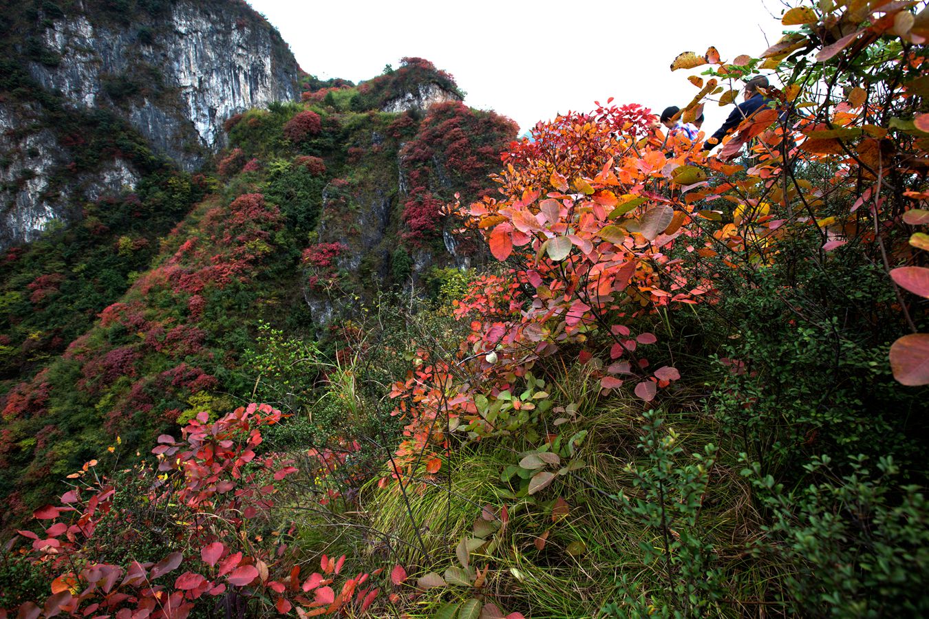 锦绣崇山2