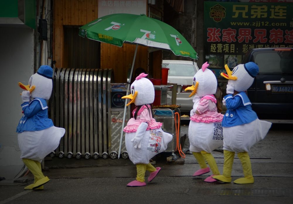 街上走过四只鸭