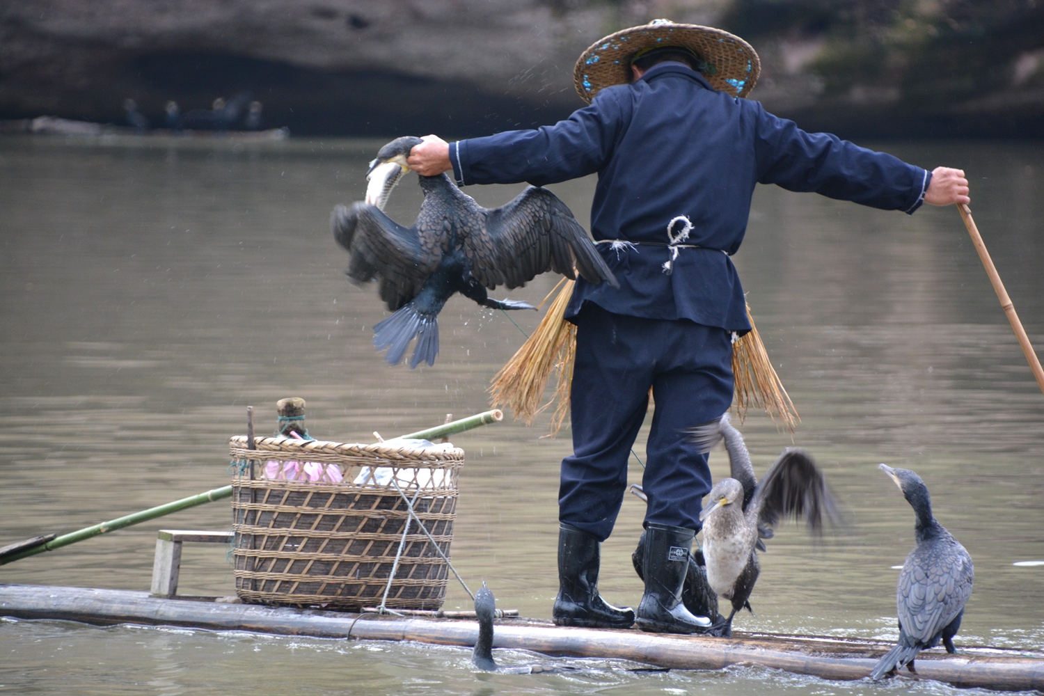 捕