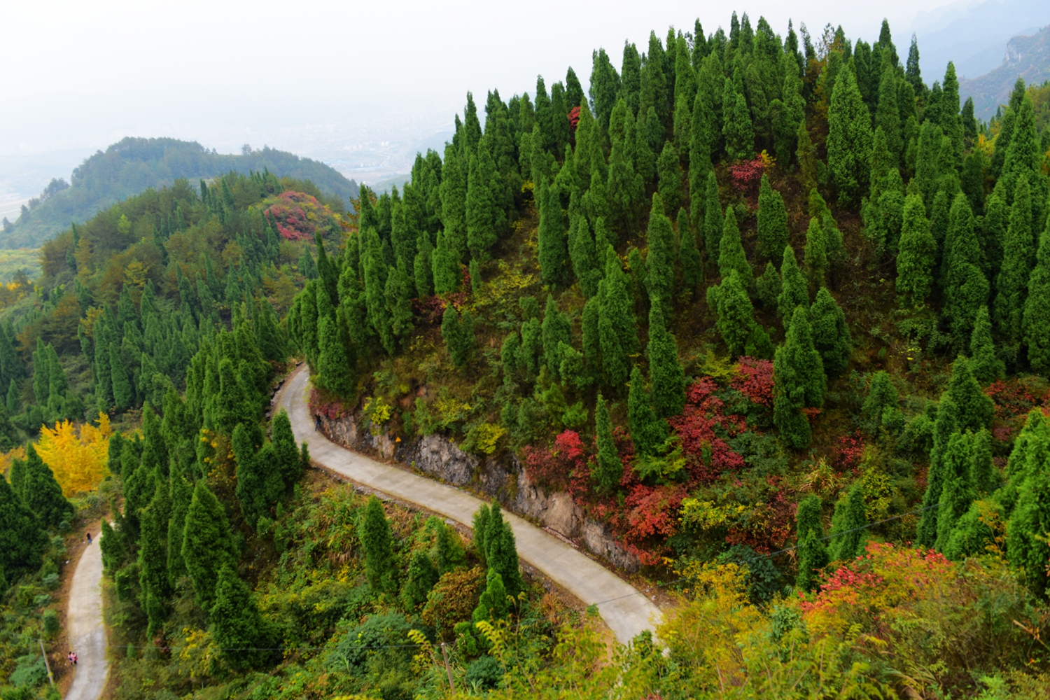 崇山之秋2