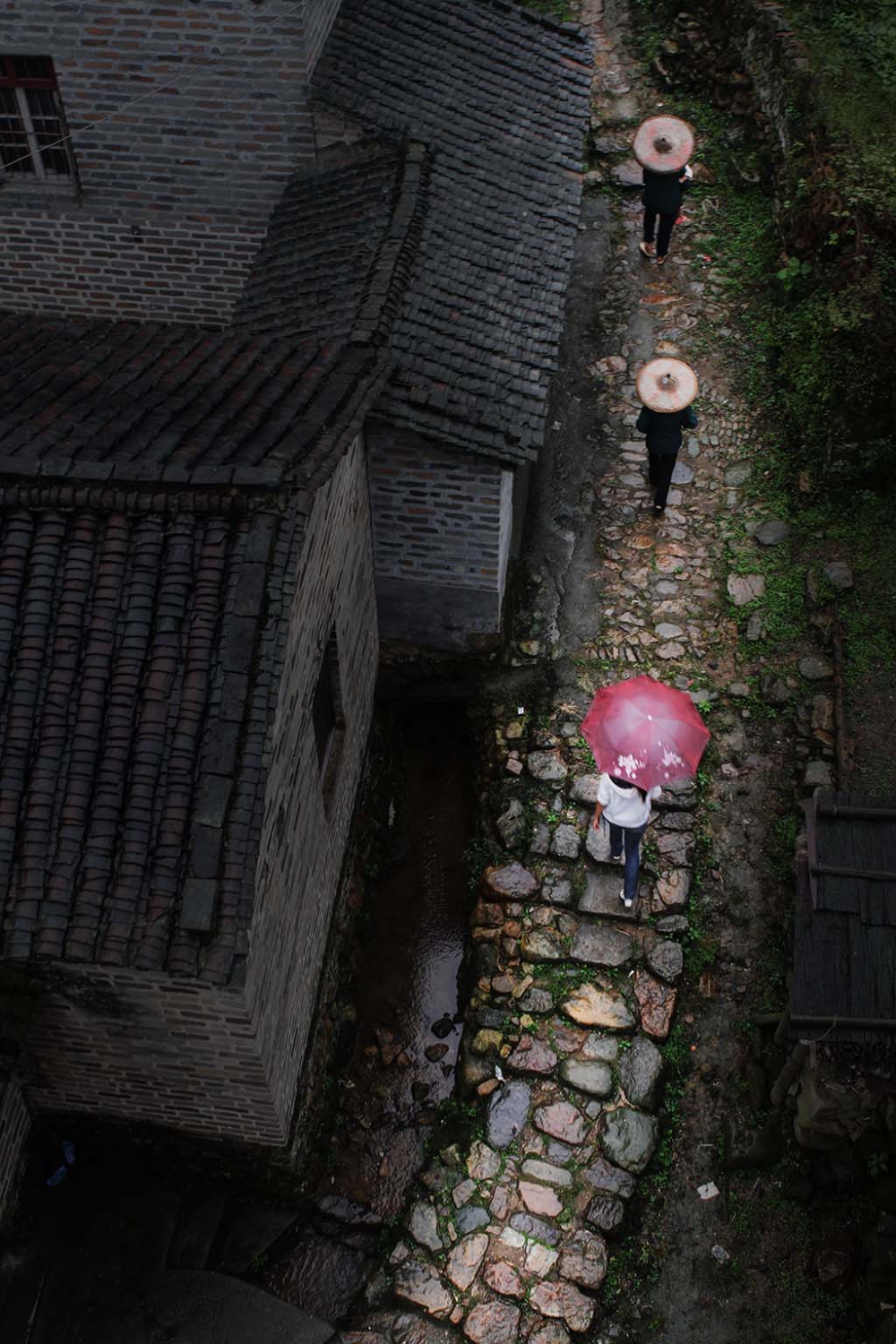 在雨中