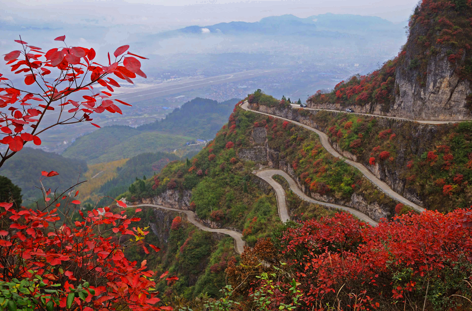崇山红叶