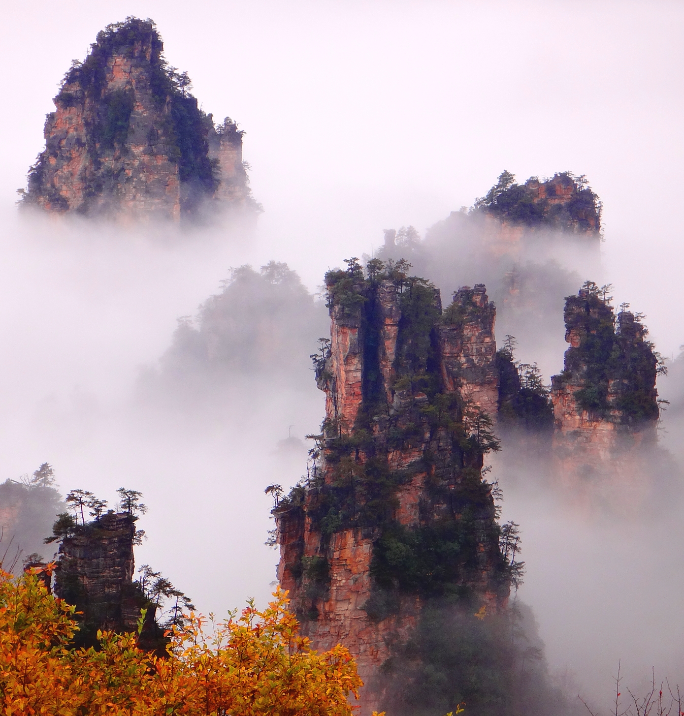 天子山石林