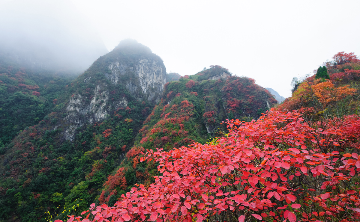 崇山风光
