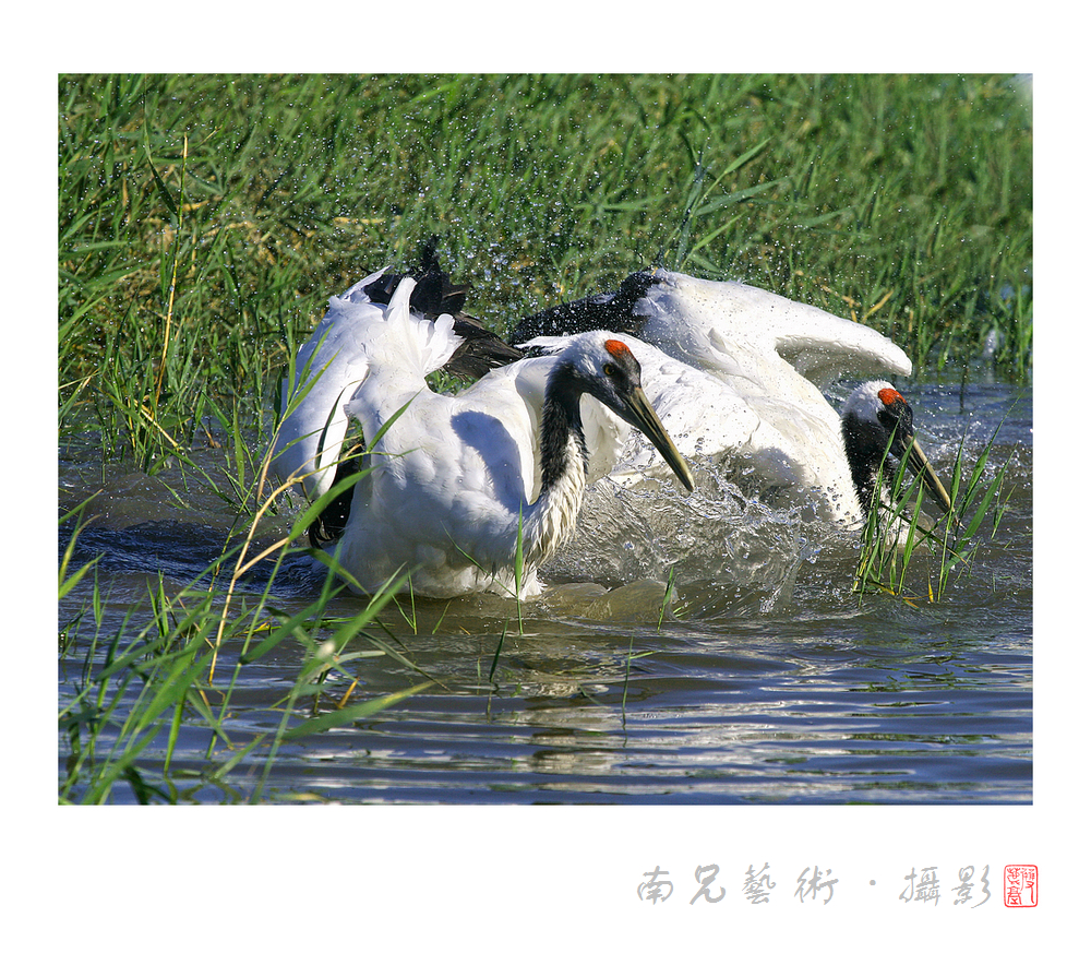 嬉水