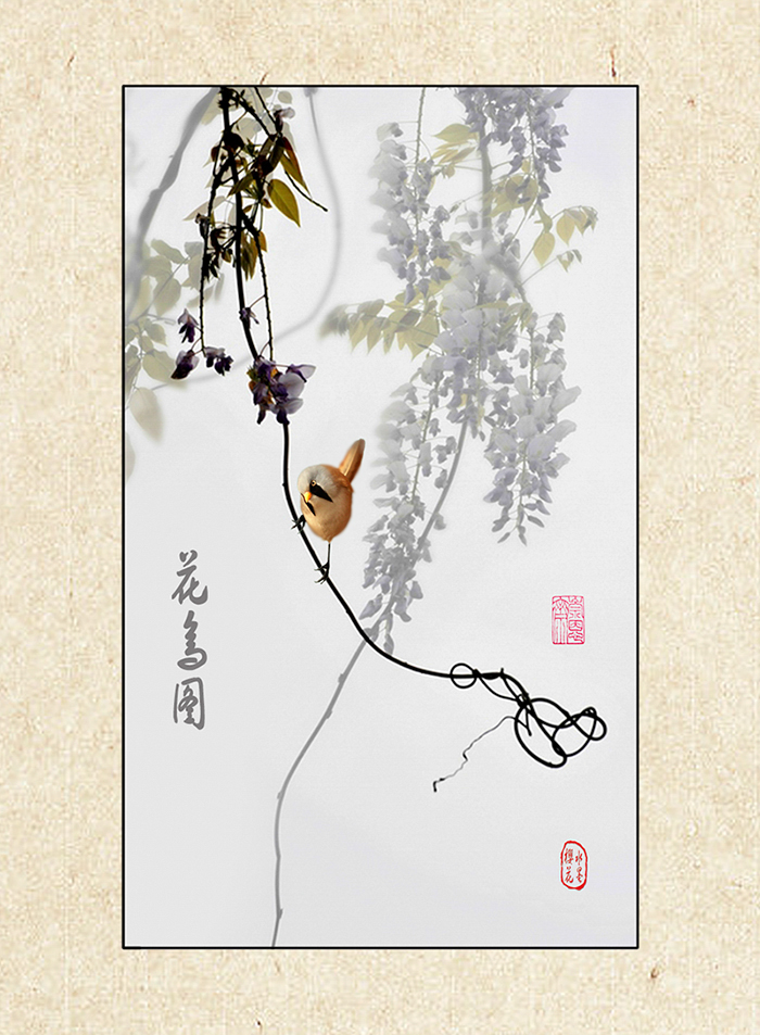 花鸟图