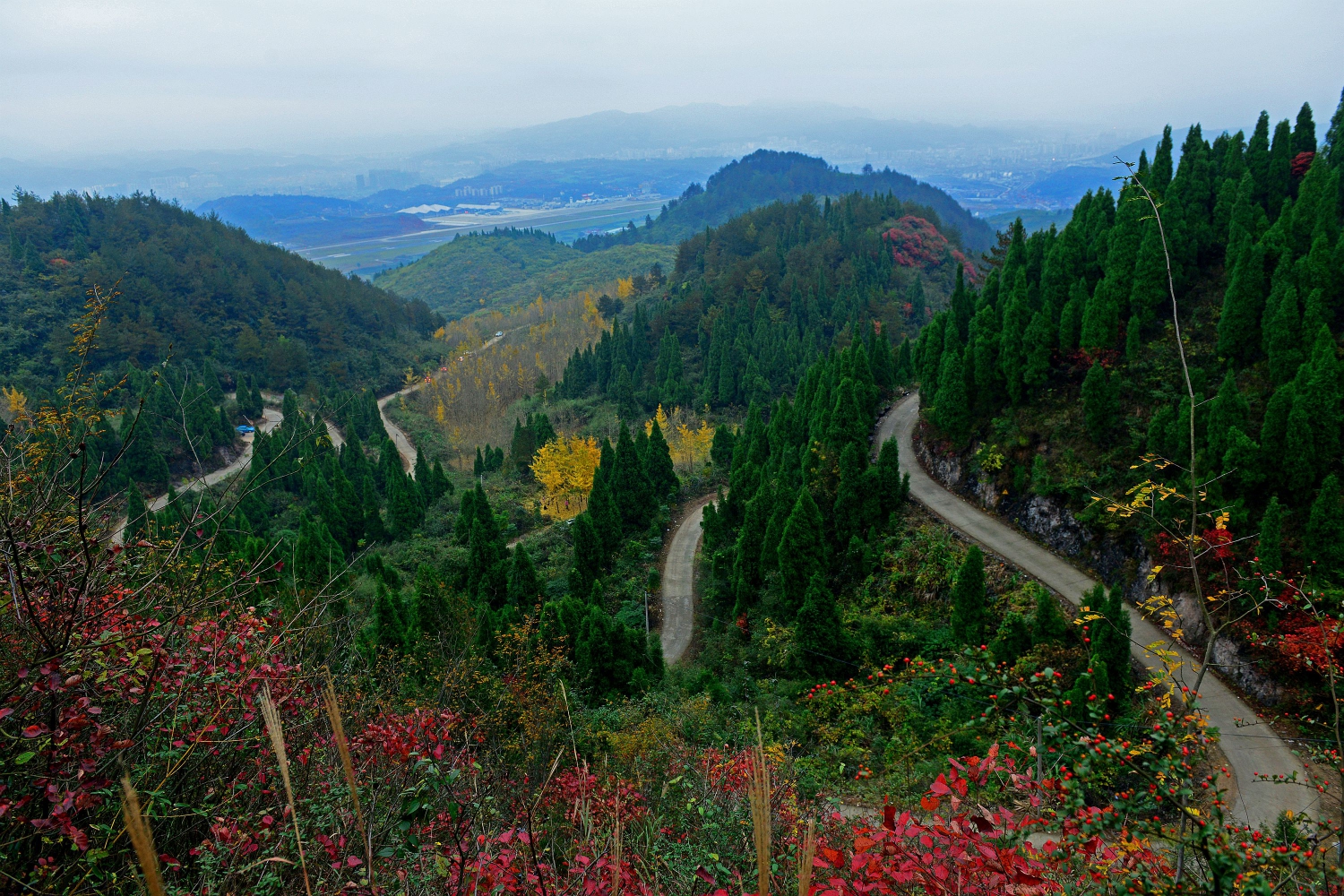 多彩崇山3