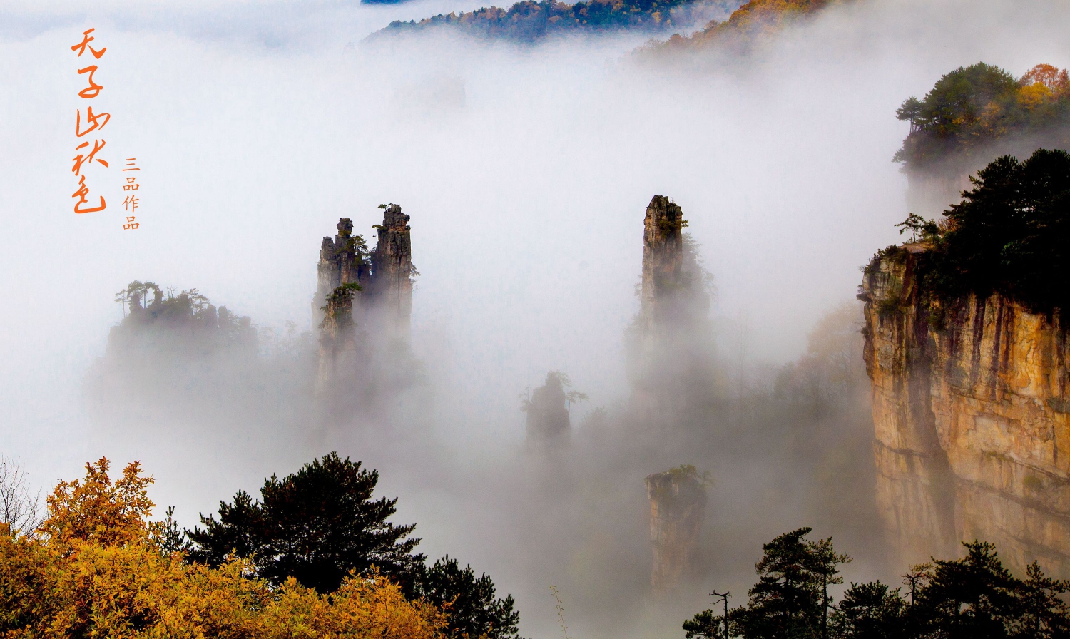 天子山秋色3