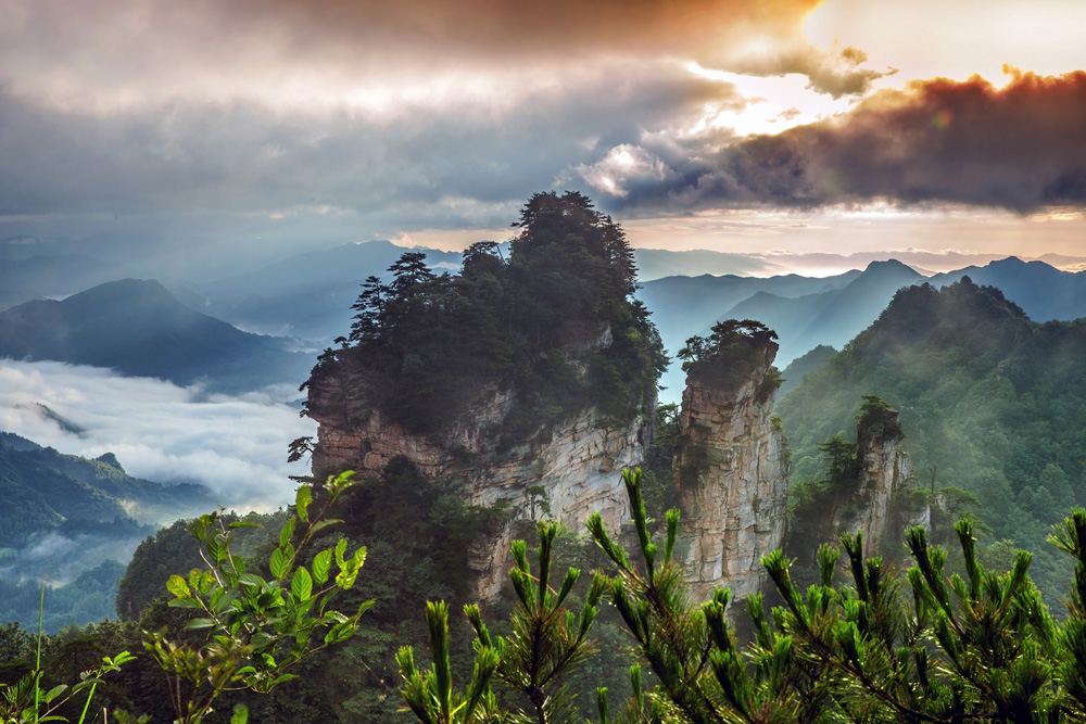 天然盆景