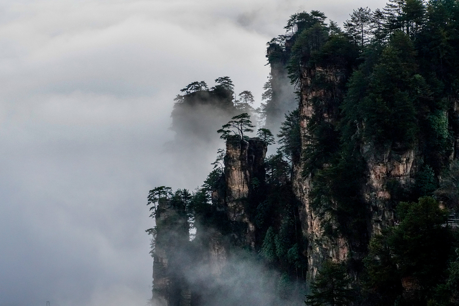 水墨丹青天子山