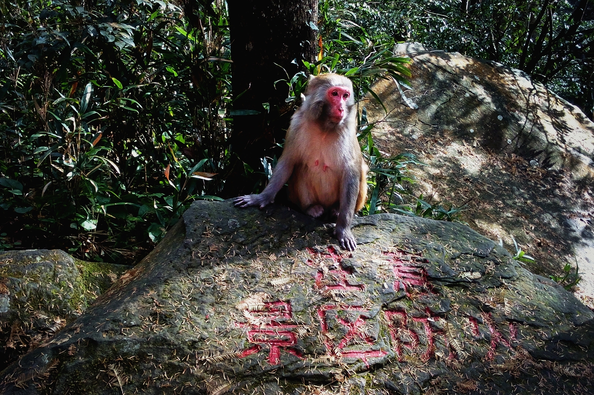 防火安全员