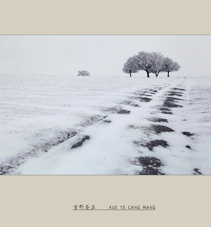 雪野苍茫