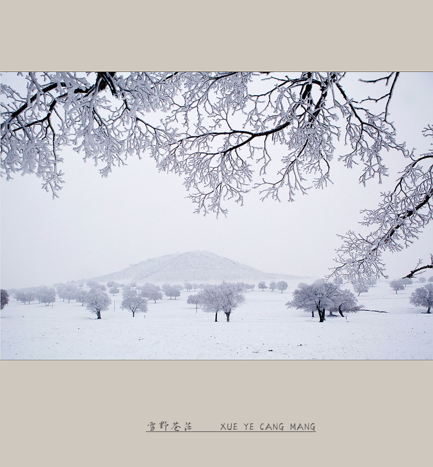 雪野苍茫