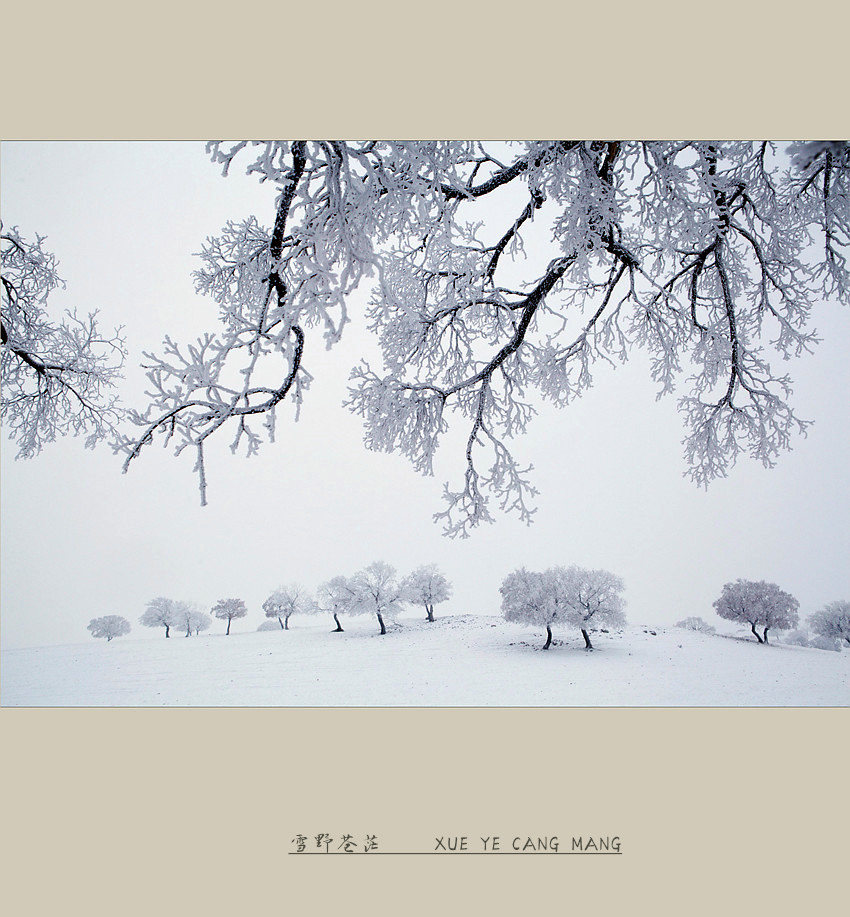 雪野苍茫