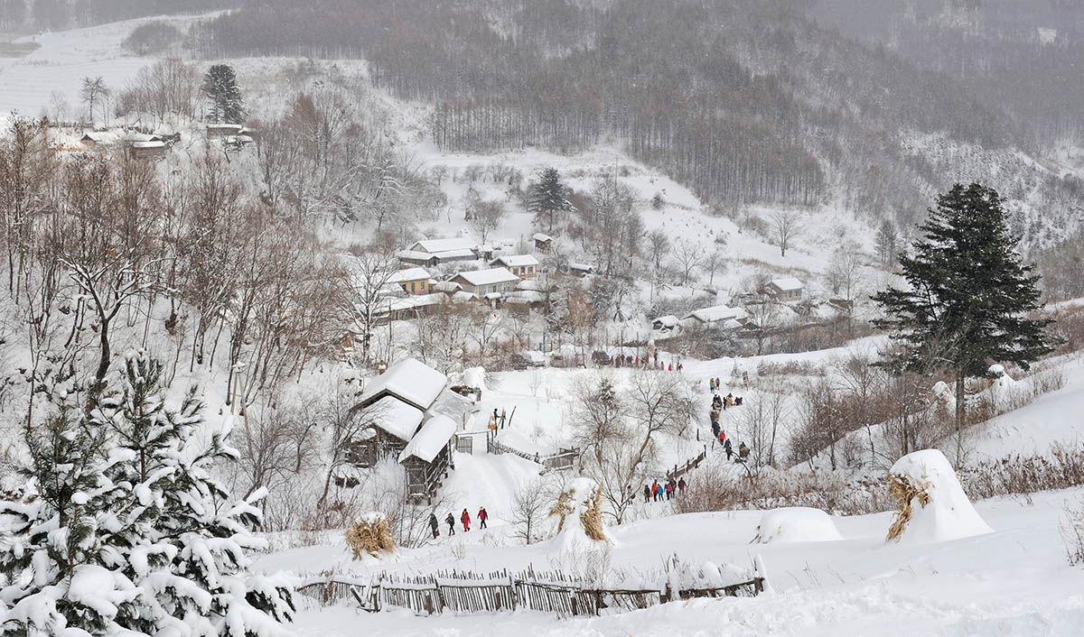 大雪纷纷下，雪村贵客到