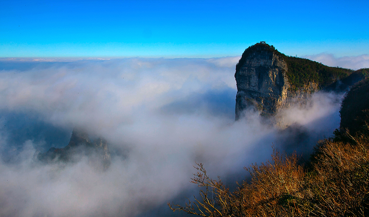 偶露峥嵘