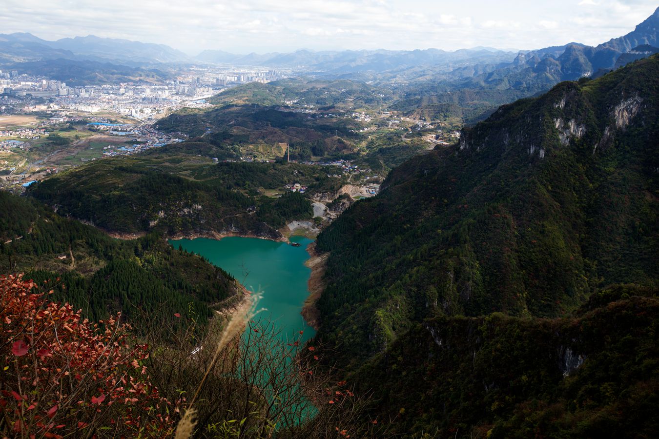 城市生态