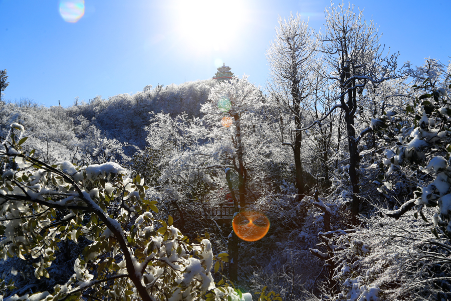瑞雪
