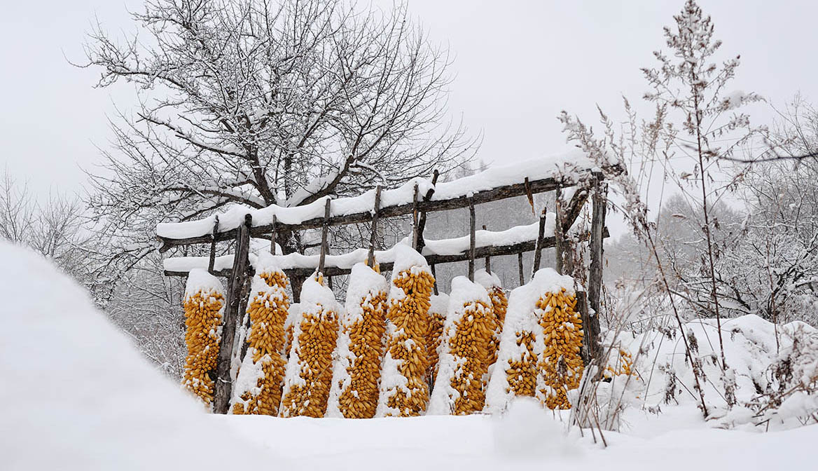 瑞雪兆丰年
