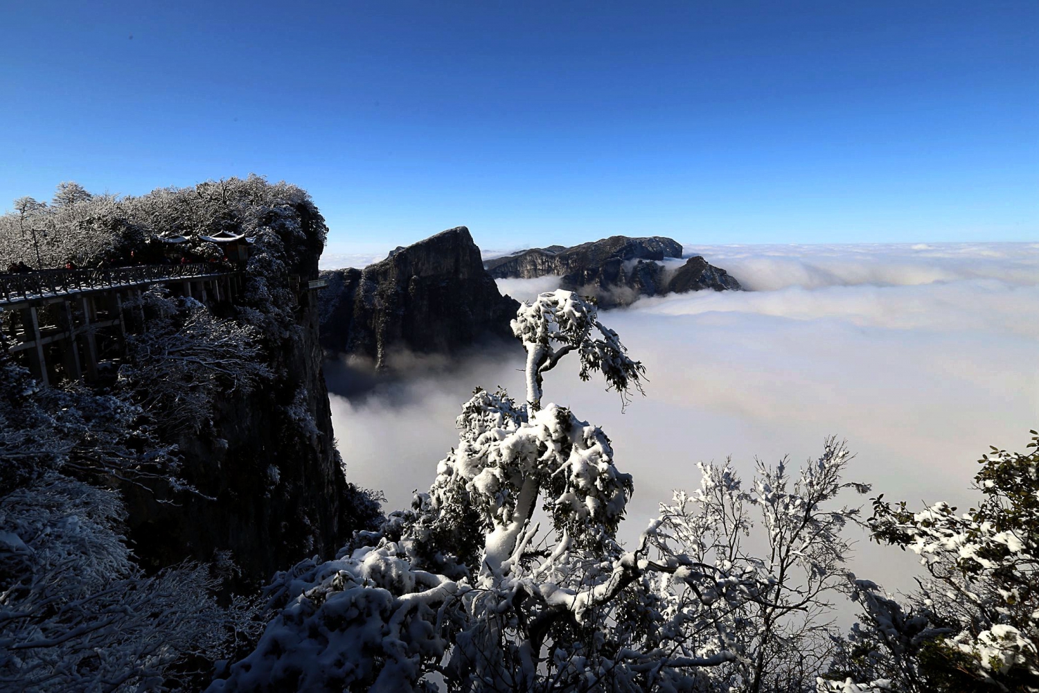 雪兆仙山