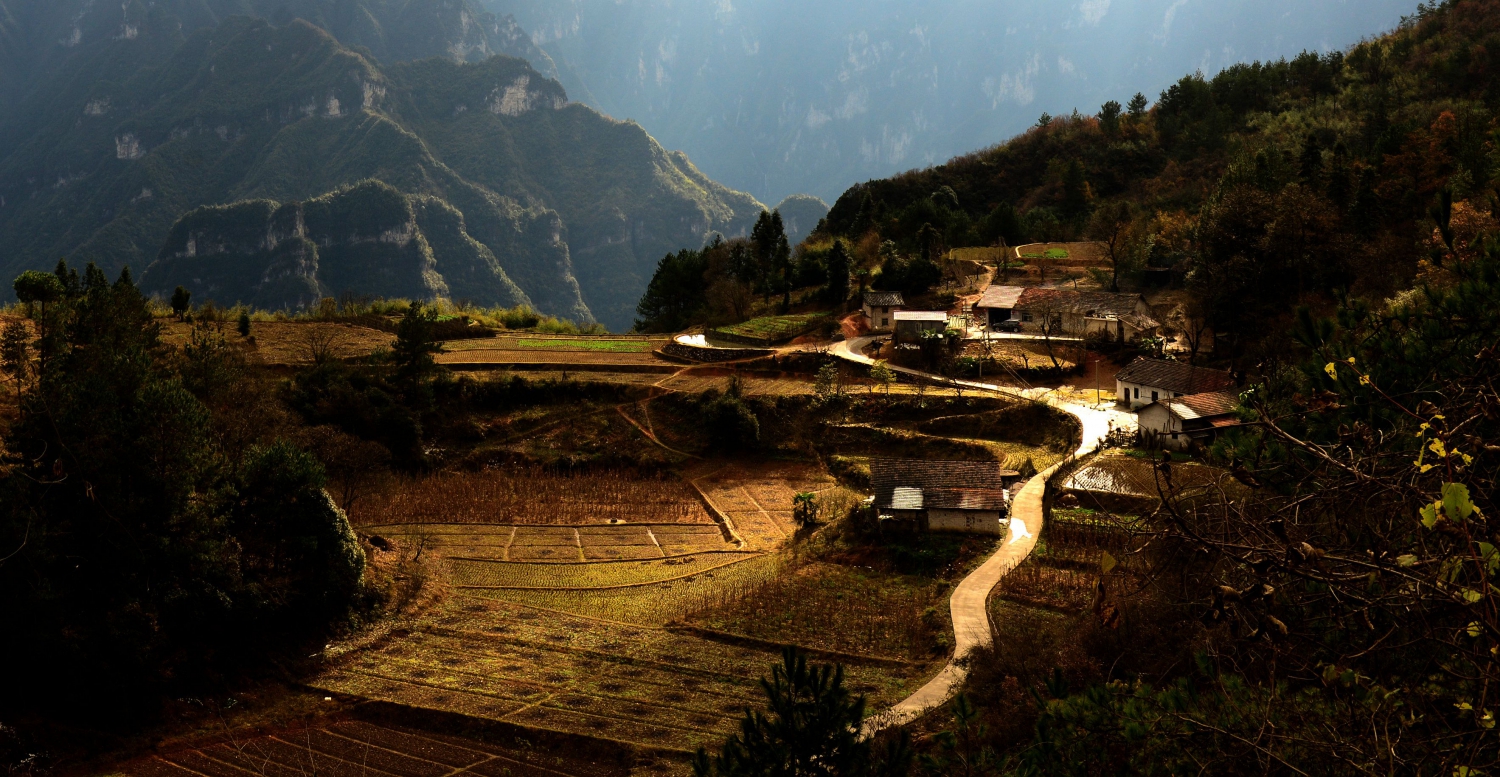 山居