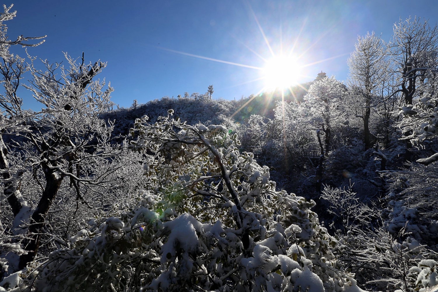 仙山.阳光.雪