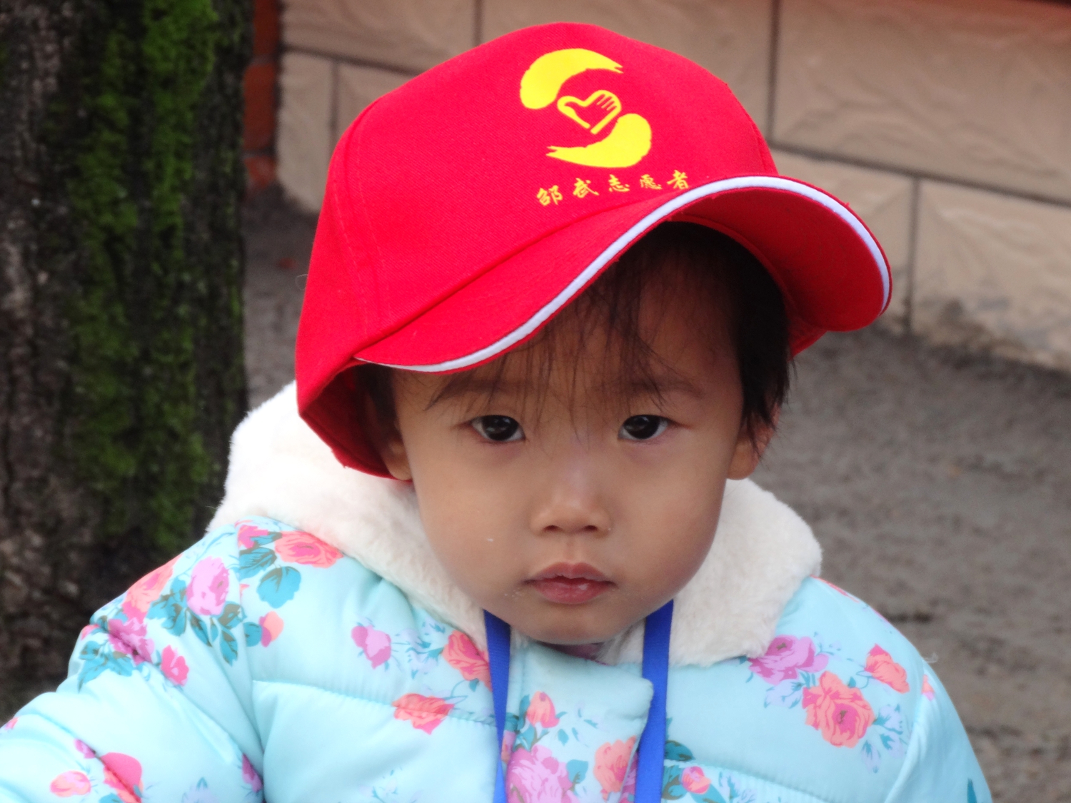 小小志愿者