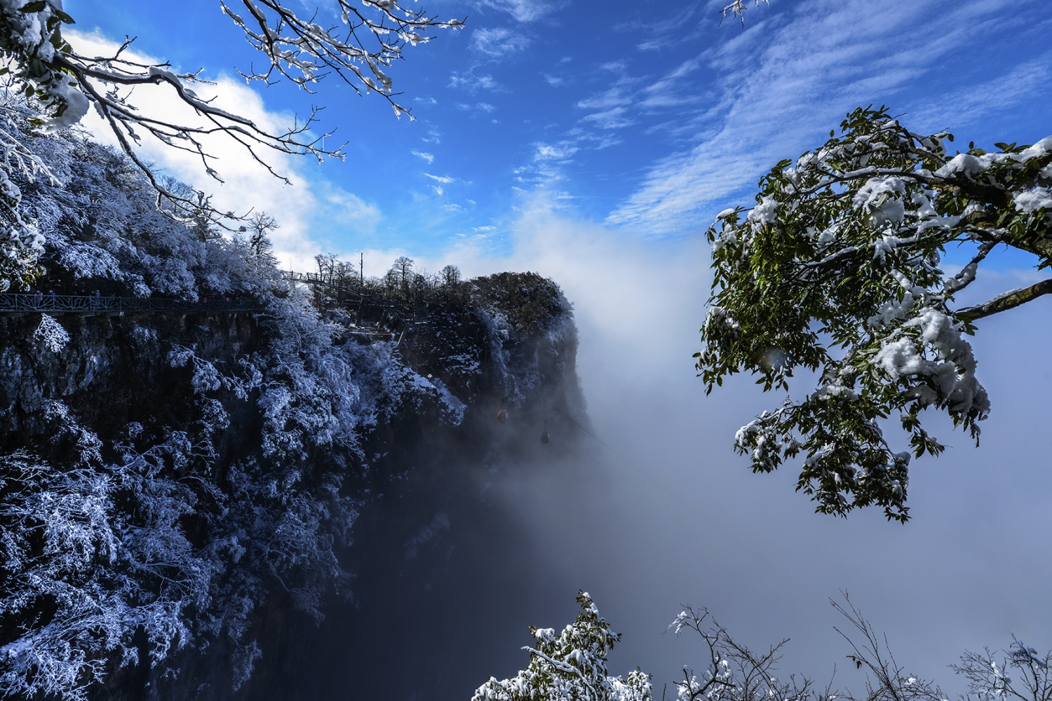 初雪