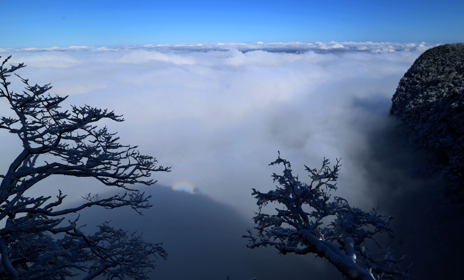 佛光山色