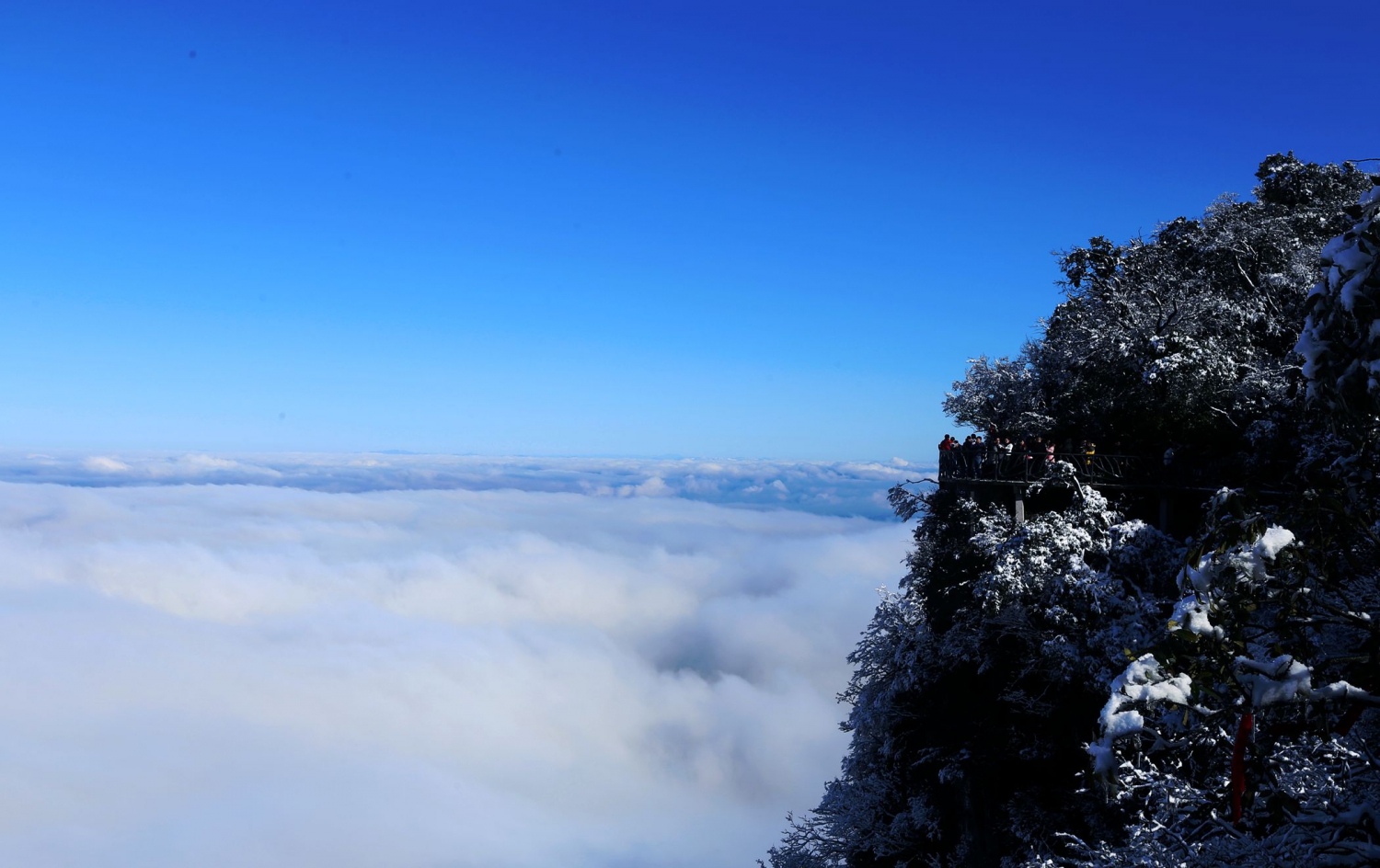 仙山观海